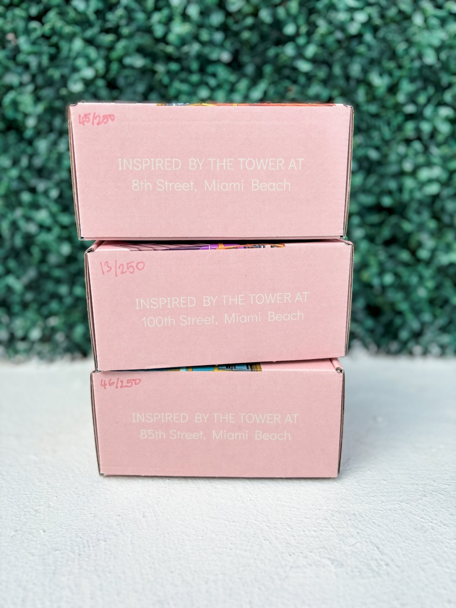 Star Ornament Bundle - DECO X MIA